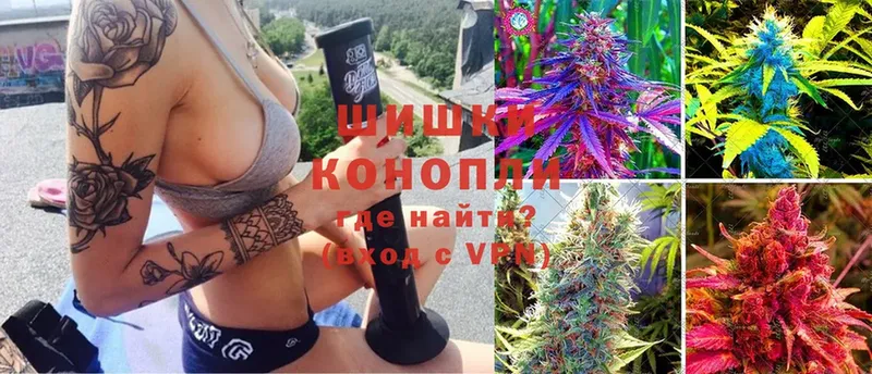 купить наркотик  shop клад  кракен tor  Марихуана LSD WEED  Бокситогорск 